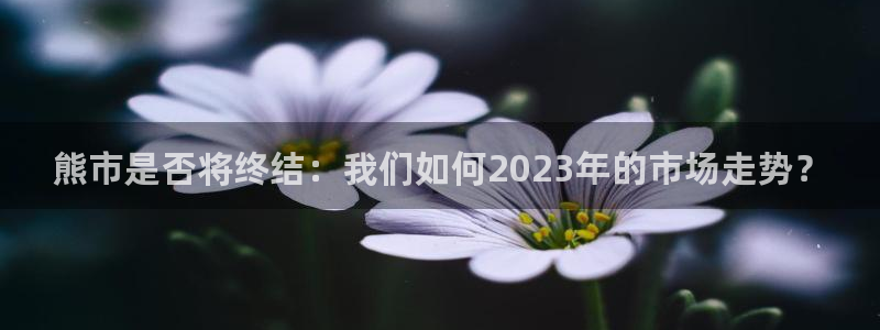 幸运彩体育用品：熊市是否将终结：我们如何2023年的市场走势？