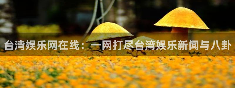 幸运彩3注册：台湾娱乐网在线：一网打尽台湾娱乐新闻与八卦