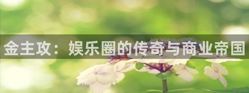 东莞市幸运彩电子科技有限公司：金主攻：娱乐圈的传奇与商业帝国