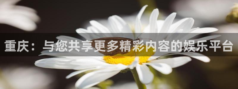 幸运彩3平台注册：重庆：与您共享更多精彩内容的娱乐平台