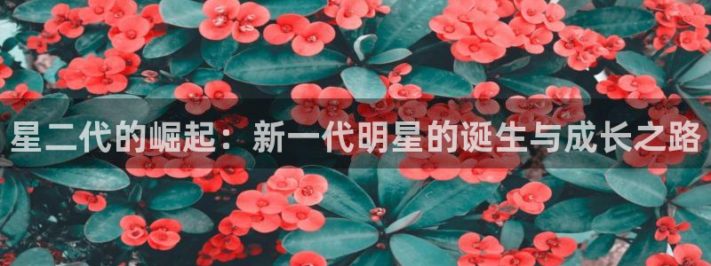 幸运彩体育平台登录入口：星二代的崛起：新一代明星的诞生与成长之路